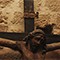 «Sulla via per la salvezza» I simboli della Passione, Morte e Resurrezione nell'arte sacra