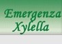 Ordinanza sindacale sulle “Misure anti Xylella Fastidiosa”