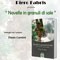 Presentazione del libro "Novelle in granuli di sale" di Piero Fabris 